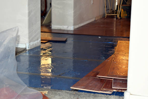 Professional Basement Flood Cleanup technician working in Central City, IL